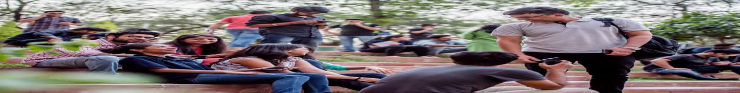 International Management Institute